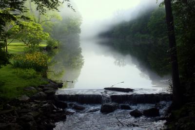 Misty Mill River (Sally Green)