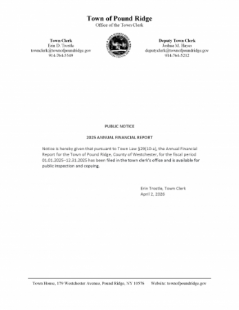 Notice of filing - 2025 AFR