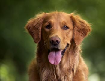 Love me, license me!